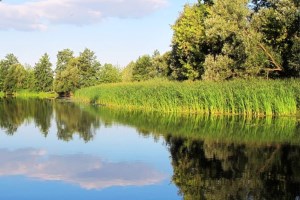 Сплав на катамаранах по Ворсклі